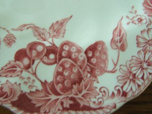 Strawberry Fair Close Up